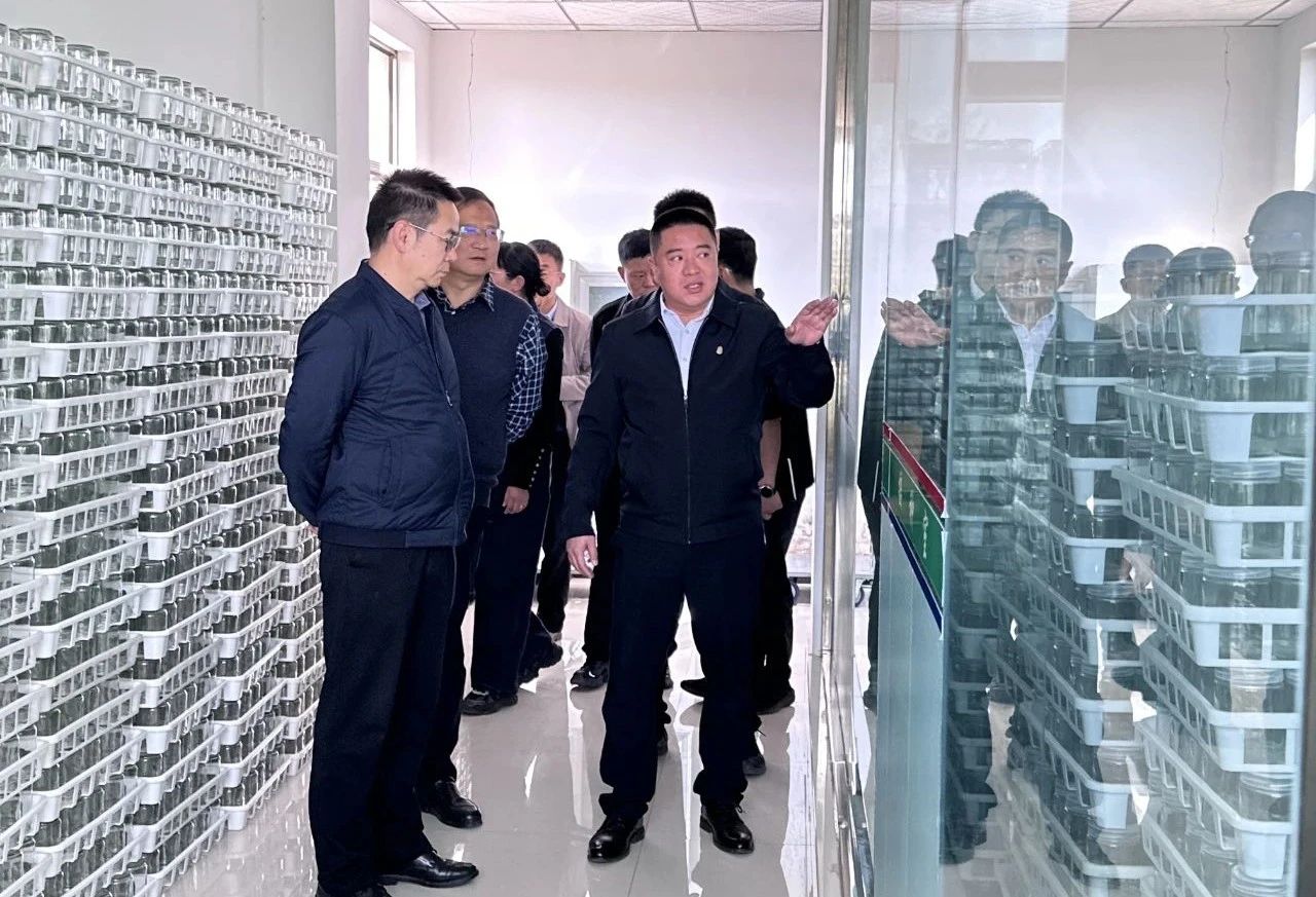 微信图片_20250309213933.jpg